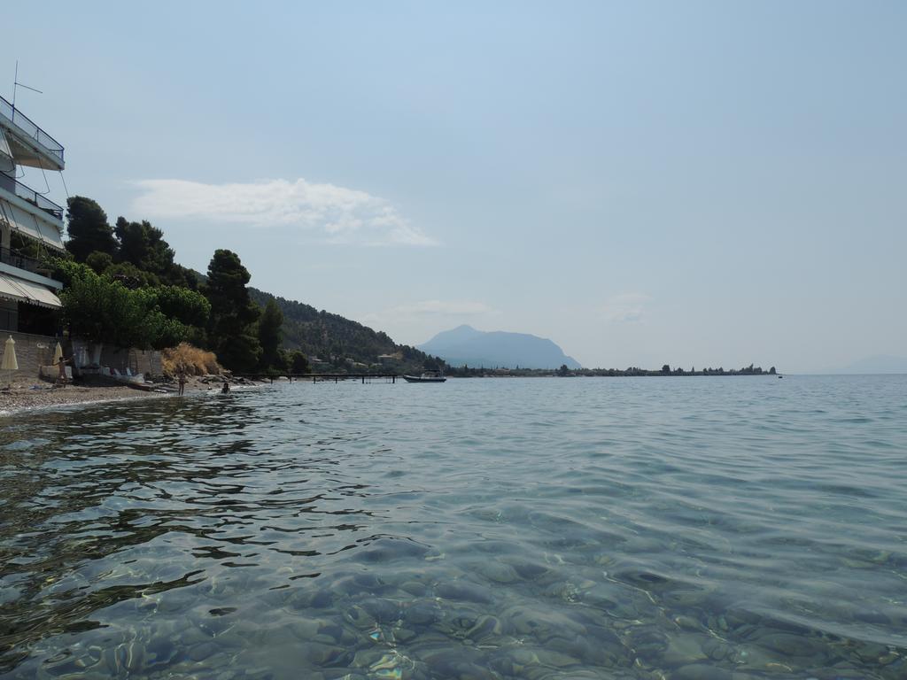 Panorama Apartman Hrónia Szoba fotó
